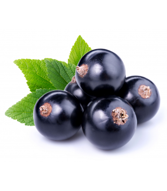 FSA - Malaysian Blackcurrant V2 1LTR